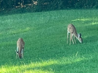 Heartland Care & Rehabilitation Photo